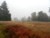 Hiagst19_015_Hochschachten_in_mystischem_Grau_-_aber_de_Farbenpracht_lasst_ned_aus
