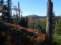 Hiagst19_022_Lusen_vom_Stoaflecksteig