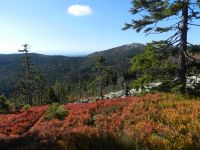 Hiagst19_025_Stoafleck