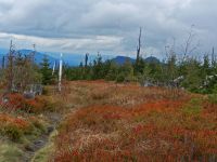 Hiagst19_032_Grenzsteig_mit_Blick_zu_den_zwei_Ossergipfel