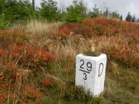 Hiagst19_033_ein_Grenzsteinpilz