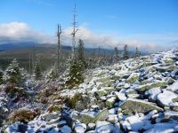 Hiagst19_037_Lusenblockmeer_mit_Blick_zum_Rachel