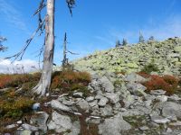 Hiagst19_038__Hiagstfarben_am_Lusen