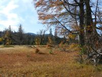 Hiagst19_040_Kohlschachten_-_den_Horizont_gestalten_die_zwei_Rachelgipfel