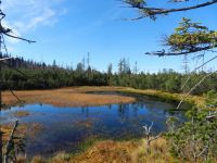 Hiagst19_043__Hintere_Sulz_-_ein_verlandender_Moorsee