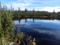 Hiagst19_044__Weiss-blauer_Himmel_spiegelt_sich_im_Latschensee