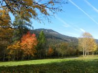 Hiagst19_048_Im_staaden_Bereich_des_Arbers_-_Naehe_Steinhuette