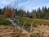 Hiagst19_054_gedecktere_Herbstfarben_am_Jaehrlingsschachten