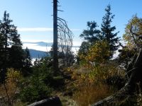 Hiagst19_056_die_Zeit_des_Dauernebels_im_Tal_-_Sonne_auf_den_Gipfeln_wie_hier_am_Falkenstein