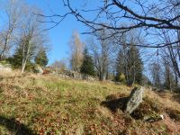 Hiagst19_059_Hangterrassen_der_ehemaligen_Siedlung_Oberlichtbuchet_im_Boehmerwald
