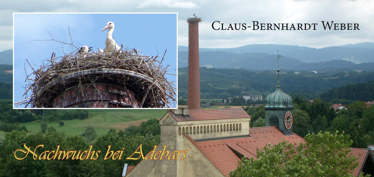 22 Nachwuchs bei Adebars