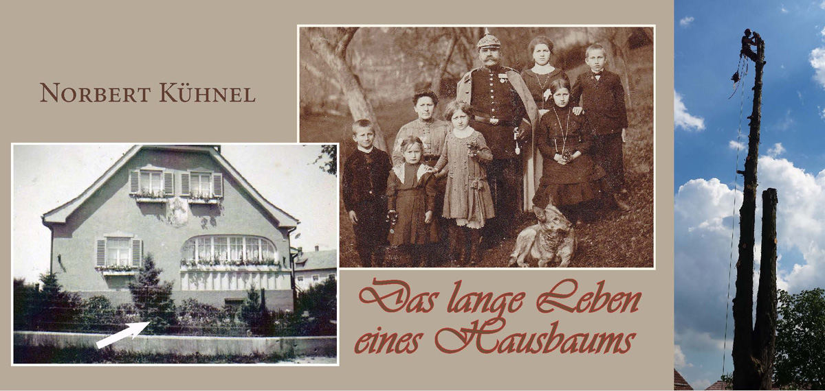 25 Das lange Leben eines Hausbaums