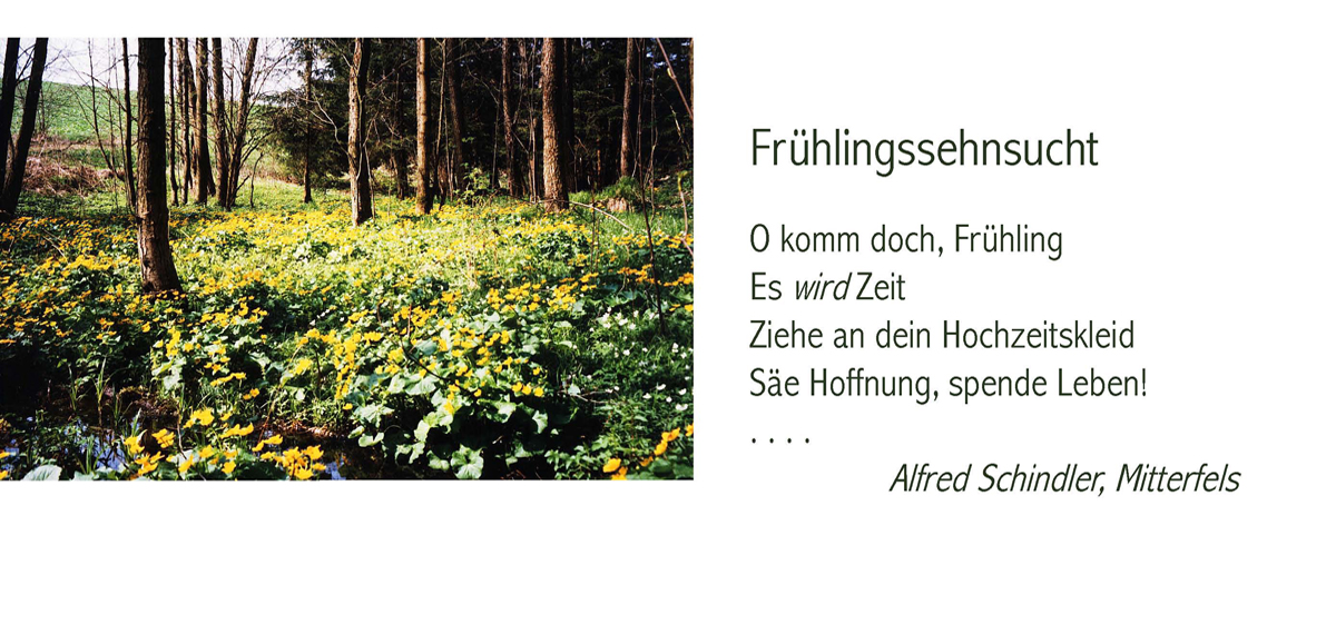 31 Fruehlingssehnsucht
