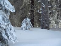 Bild1