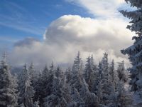 Bild11