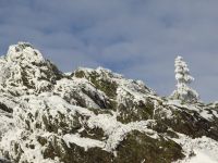 Bild12