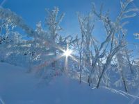 Bild15