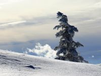 Bild16