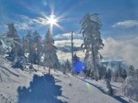 Bild4