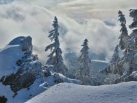 Bild8