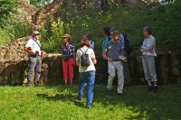 Runding20_Wissenswertes_ueber_Nachtkerzen_von_Martin_Graf_Foto_Hoinkes