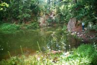 Runding22_Blausee_Foto_Hoinkes