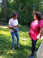 01_Kraeuterexkursion_mit_Gertrud_Graf_-_Giersch_im_Burggraben