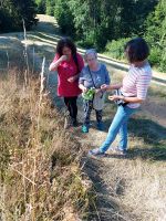02_Kraeuterexkursion_mit_Gertrud_Graf_-_Schafgarbe__Co_am_alten_Kirchenweg