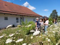 04_Kraeuterexkursion_mit_Gertrud_Graf_-_Bluehwiese_hinter_der_historischen_Hien-Soelde