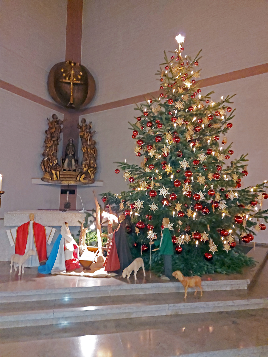 99 o Krippe und Christbaum in der kath Pfarrkirche Mitterfels ft 2022 12 24