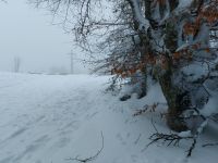 10_Proeller_-_einer_der_gern_besuchten_1000er-Gipfel_im_Norden_des_Landkreises_-_im_Winter__-_eb_2022_02_09