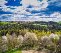 22_Blick_Richtung_Hoefling-Mitterfels_waehrend_der_Kirschbaumbluetehue_2022_04_18