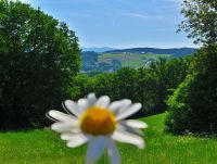 27_Blick_auf_Ascha_bm_2022_06_25