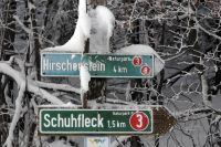 35_a_Winter_am_Grandsberg_-_nn_2022_01_06