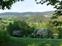 51_Fruehling_um_Puergl_-_Blick_zum_Waldwipfelweg_-_sa_2022_05_10