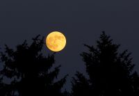 52_a_Vollmond_ueber_Riederszell_-_bm_2022_06_13