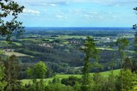 55_a_Schwarzach_vom_Schellnberg_bei_Perasdorf_-_nn_2022_05_22