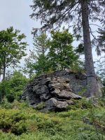 56_c_Die_1000er_an_der_Nordgrenze_des_Landkreises_-_Hochberg_1026_m_-_lb_2022_07_29