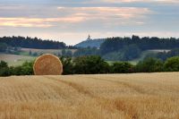 58_a_Spaziergang_ueber_abgeerntete_Felder_bei_Welchenberg_mit_Blick_auf_den_Bogenberg_-_nn_2022_07_31