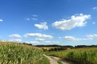 58_b_Landschaft_bei_Liepolding_-_nn_2022_08_09