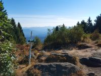 59_a_Proeller_mit_Blick_zum_Arber_-_muss_wirklich_jedes_Stueck_Natur_noch_nach_eigenem_Geschmack_moebliert_werden_-_le_2022_08_14_08