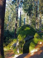 59_b_Zuckerhut_am_Proeller_-_kaum_ein_Baum_oder_Stein_um_den_Proeller_ist_nicht_moebliert_-_le_2022_08_14