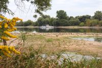 60_a_Extrem-Niedrigwasser_an_der_Donau_bei_Mariaposching_-_Buhnen_schauen_stark_aus_dem_Fluss_-_nn_2022_08_18