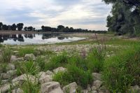 60_c_Donau_bei_Mariaposching_-_extrem_niedriger_Wasserstand_-_nn_2022_08_18