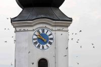 61_b_Es_ist_zwar_noch_eine_Zeitlang_hin_bis_Mariae_Geburt_aber_die_Schwalben_merken_dass_es_Zeit_wird_-_nn_2022_08_26