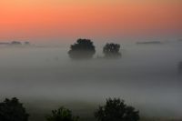 62_d_Morgennebel_im_Heuwisch_bei_Welchenberg_-_nn_2022_09_06