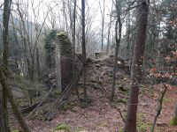 64_a_Ruine_Hoehenstein_versteckt_gelegen_im_Wald_am_Gallnerhang_-_deren_Geschichte_noch_Raetsel_aufgibt_-_ff_2022_02_15