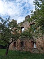 64_c_Ruine_Haibach_-_heute_in_Privatbesitz_und_von_einem_Foerderverein_vor_dem_totalen_Verfall_bewahrt_-_aw_2022_08_28