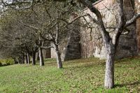 81_e_Winberger_Herbst_-_nn_2022_10_29