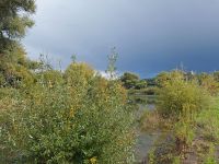 86_a_Der_heilige_Berg_des_Landkreises_vom_Donau-Altwasser_nach_einem_Wolkenbruch_-_ft_2022_09_20